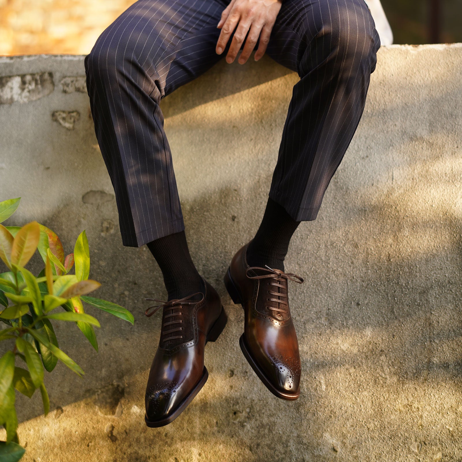 DOLPHIN - Men Suede Oxfords Wingtip
