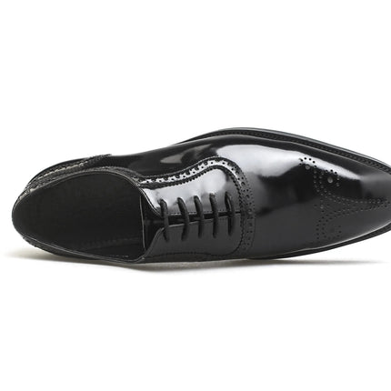 Mogghal | Oxford Fadded - MOGGHAL