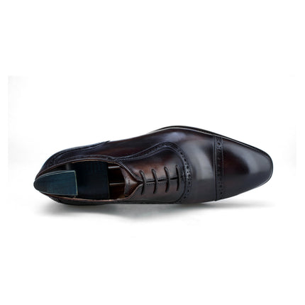 Mogghal | PROFESSIONAL
